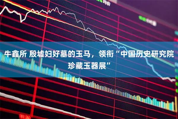 牛鑫所 殷墟妇好墓的玉马，领衔“中国历史研究院珍藏玉器展”